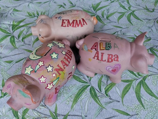 A visual representation of three different piggy banks, each labeled with '401(k)', 'Roth IRA', and 'HSA', respectively, on a clean, uncluttered background.